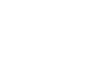 logo.seoAltTag