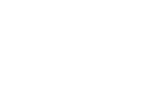 logo.seoAltTag